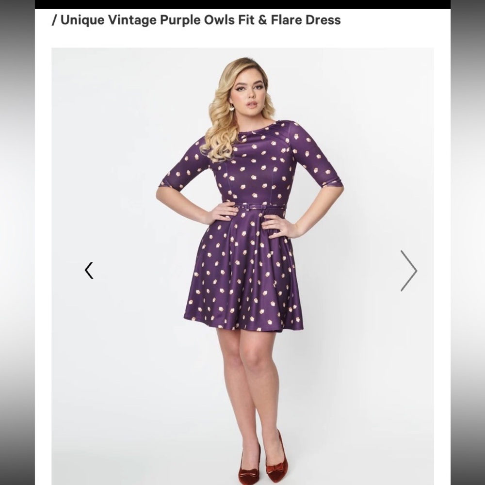 Unique Vintage Owl Dress
